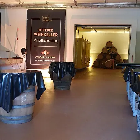 Hotel Weingut Magdalenenhof 3*