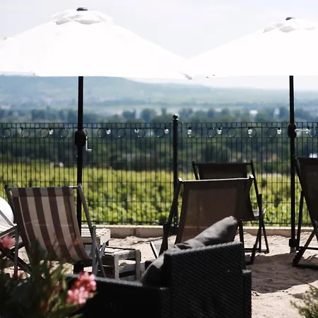 Weingut Magdalenenhof 3* Rüdesheim nad Renem