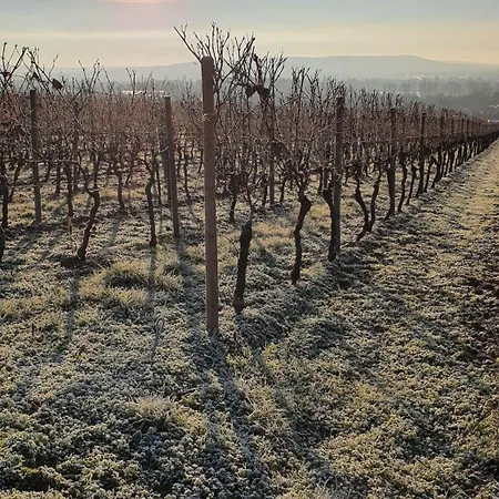 Hotel Weingut Magdalenenhof 3*