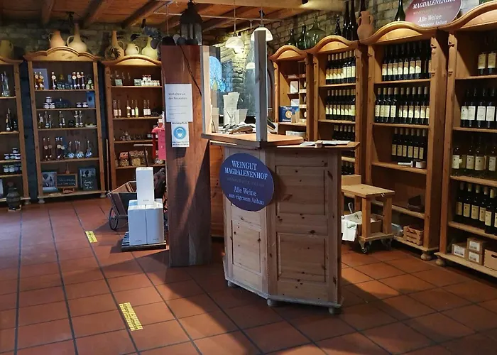 ヴァイングート マグダレネンホフ リューデスハイム・アム・ライン