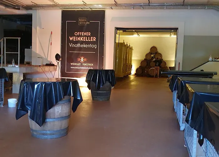 ホテル ヴァイングート マグダレネンホフ 3*