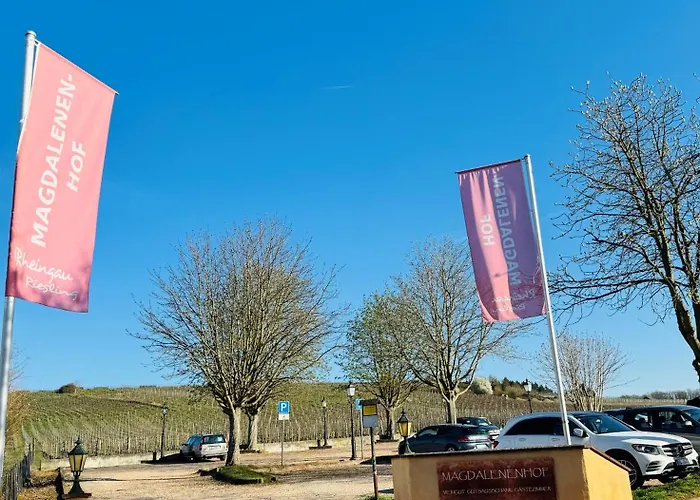 ヴァイングート マグダレネンホフ 3*